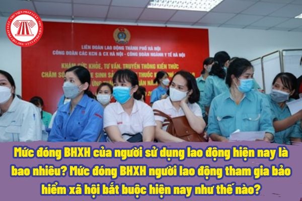 Mức đóng BHXH của người sử dụng lao động hiện nay là bao nhiêu? Mức đóng BHXH người lao động tham gia bảo hiểm xã hội bắt buộc hiện nay như thế nào?