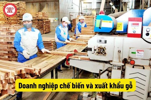 Doanh nghiệp chế biến và xuất khẩu gỗ