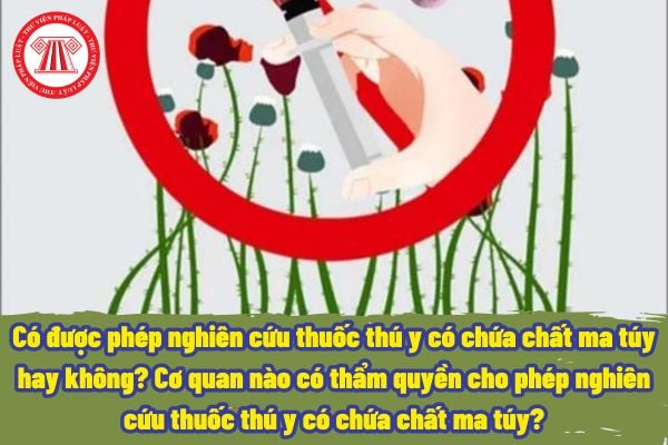 Có được phép nghiên cứu thuốc thú y có chứa chất ma túy hay không? Cơ quan nào có thẩm quyền cho phép nghiên cứu thuốc thú y có chứa chất ma túy?