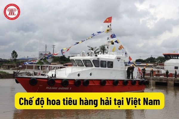 Chế độ hoa tiêu hàng hải tại Việt Nam