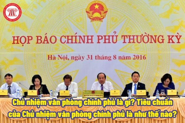 Chủ nhiệm văn phòng chính phủ là gì? Tiêu chuẩn của Chủ nhiệm văn phòng chính phủ là như thế nào?