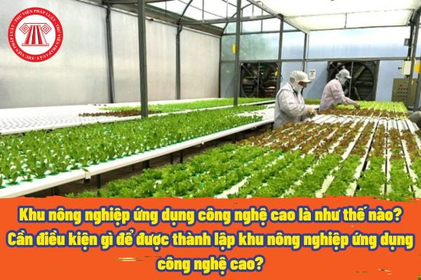 Khu nông nghiệp ứng dụng công nghệ cao là như thế nào? Cần điều kiện gì để được thành lập khu nông nghiệp ứng dụng công nghệ cao?