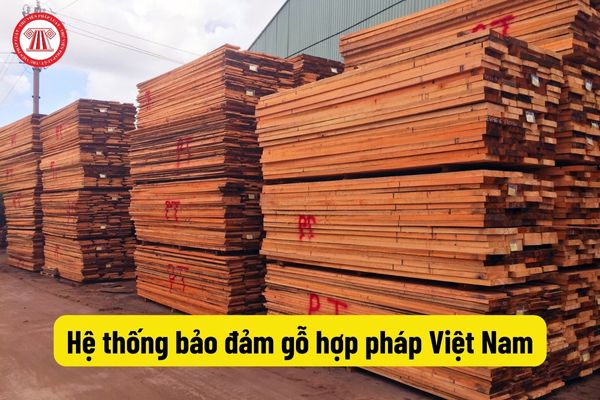 Hệ thống bảo đảm gỗ hợp pháp Việt Nam
