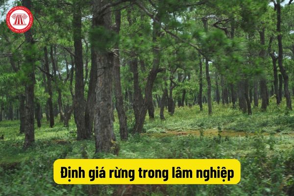 Định giá rừng trong lâm nghiệp