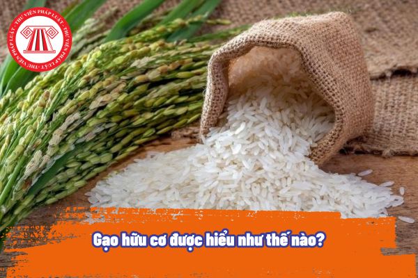 Gạo hữu cơ được hiểu như thế nào? Thương nhân muốn kinh doanh xuất khẩu gạo hữu cơ có cần xin Giấy chứng nhận hay không?
