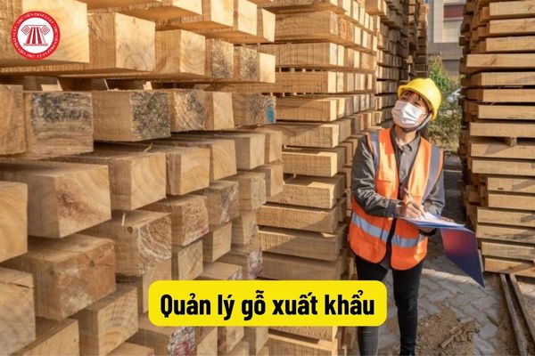 Quản lý gỗ xuất khẩu
