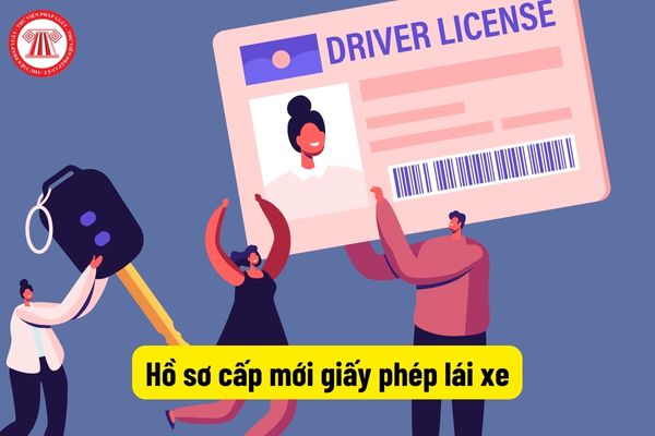Hồ sơ cấp mới giấy phép lái xe
