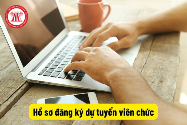 Hồ sơ đăng ký dự tuyển viên chức