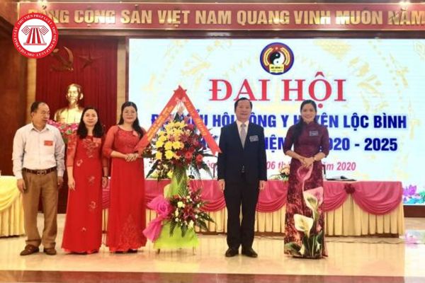 Hội Đông y Việt Nam