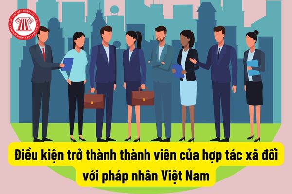 Điều kiện trở thành thành viên của hợp tác xã đối với pháp nhân Việt Nam