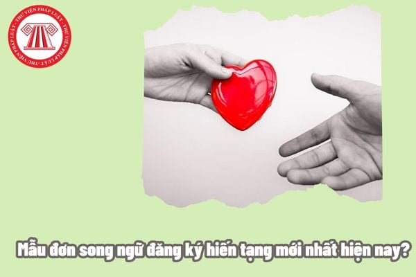 Mẫu đơn song ngữ đăng ký hiến tạng mới nhất hiện nay? Tổ chức tang lễ đối với người hiến bộ phận cơ thể người sau khi chết ra sao?