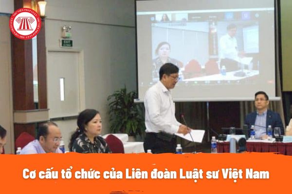 Cơ cấu tổ chức của Liên đoàn Luật sư Việt Nam