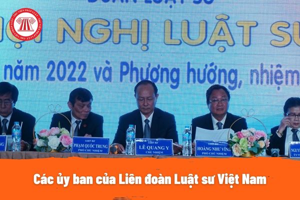 Các ủy ban của Liên đoàn Luật sư Việt Nam