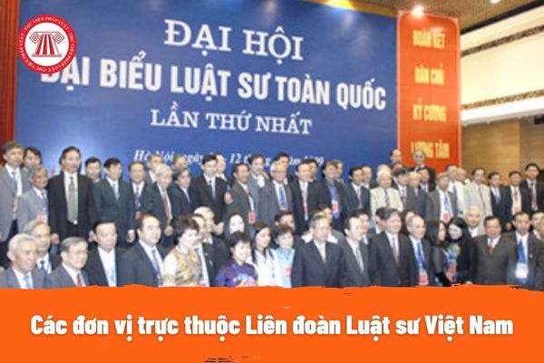 Các đơn vị trực thuộc Liên đoàn Luật sư Việt Nam