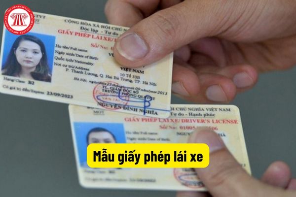 Mẫu giấy phép lái xe