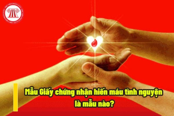 Mẫu Giấy chứng nhận hiến máu tình nguyện là mẫu nào? Người đã hiến máu nhưng Giấy chứng nhận hiến máu tình nguyện bị rách một phần rất nhỏ thì có được truyền máu miễn phí hay không?