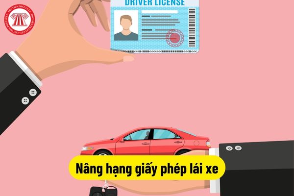 Nâng hạng giấy phép lái xe