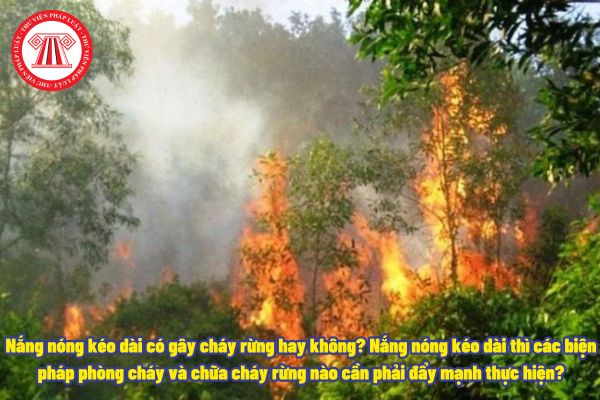 Nắng nóng kéo dài có gây cháy rừng hay không? Nắng nóng kéo dài thì các biện pháp phòng cháy và chữa cháy rừng nào cần phải đẩy mạnh thực hiện?