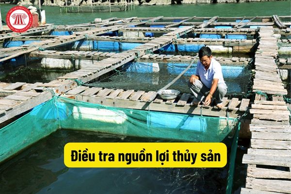 Điều tra nguồn lợi thủy sản và môi trường sống của loài thủy sản