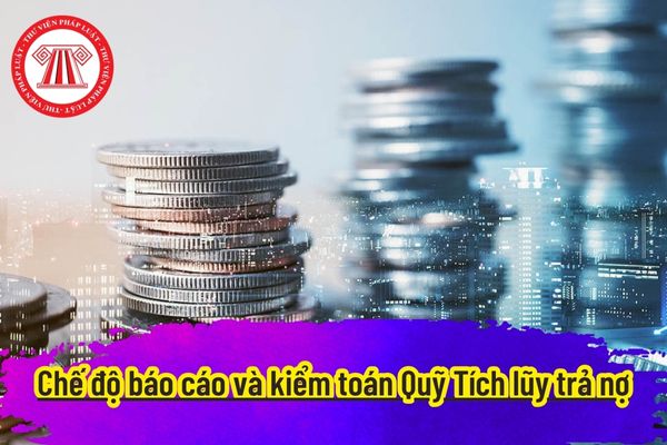 Chế độ báo cáo và kiểm toán Quỹ Tích lũy trả nợ