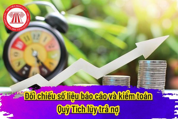 Đối chiếu số liệu báo cáo và kiểm toán Quỹ Tích lũy trả nợ 