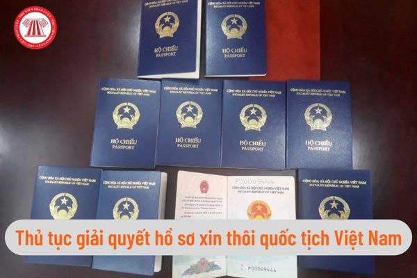 Thủ tục giải quyết hồ sơ xin thôi quốc tịch Việt Nam