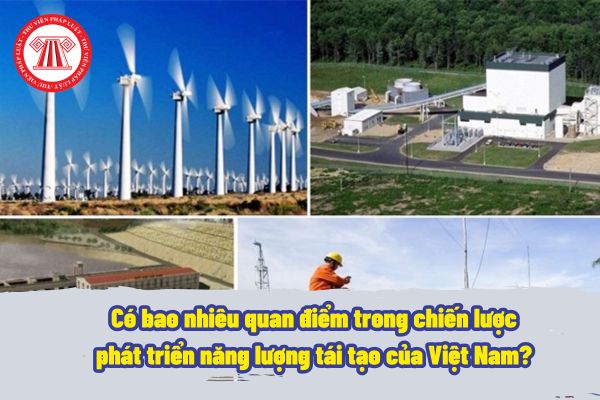 Có bao nhiêu quan điểm trong chiến lược phát triển năng lượng tái tạo của Việt Nam? Có mục tiêu về giảm biến đổi khí hậu hay không?