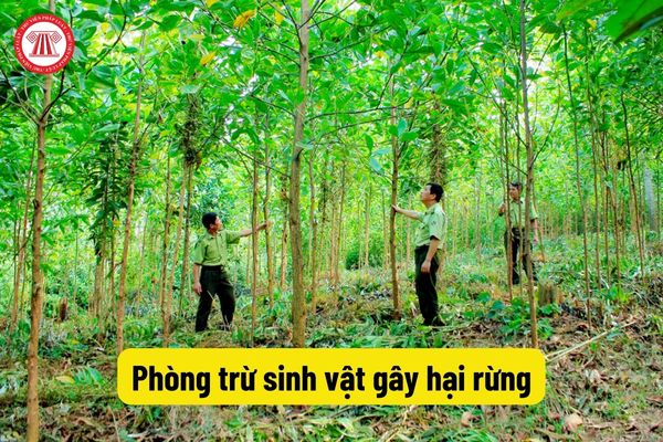 Phòng trừ sinh vật gây hại rừng