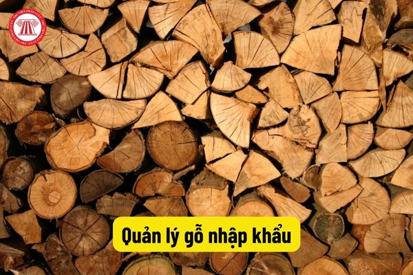 Quản lý gỗ nhập khẩu