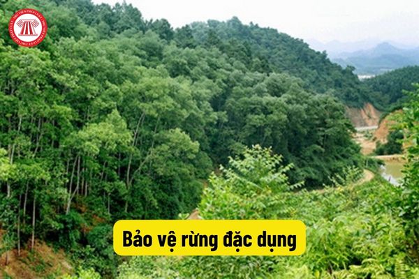 Bảo vệ rừng đặc dụng