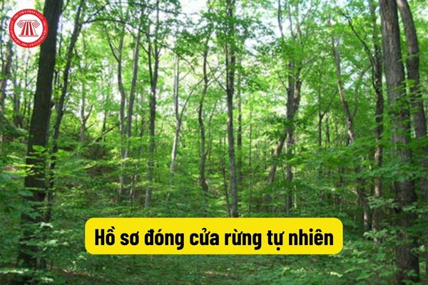 Hồ sơ đóng cửa rừng tự nhiên