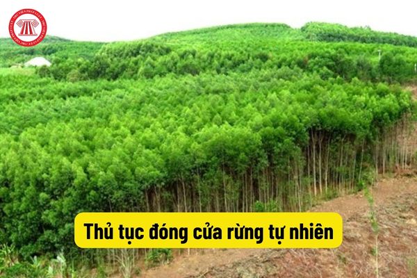 Thủ tục đóng cửa rừng tự nhiên