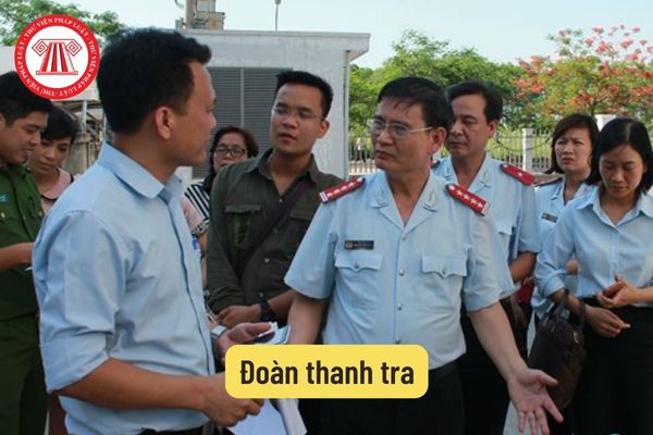 Đoàn thanh tra