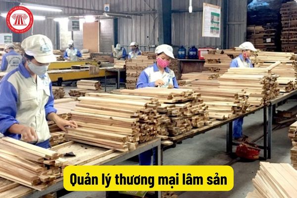 Quản lý thương mại lâm sản