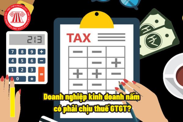 Doanh nghiệp kinh doanh nấm có phải chịu thuế GTGT? Doanh nghiệp kinh doanh nấm khi chịu thuế GTGT thì căn cứ tính thuế này là gì?