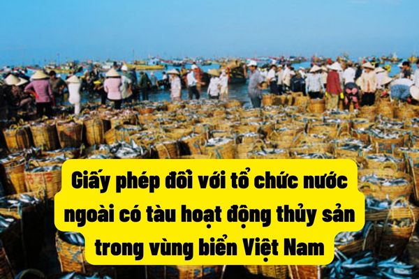 Giấy phép đối với tổ chức nước ngoài có tàu hoạt động thủy sản trong vùng biển Việt Nam