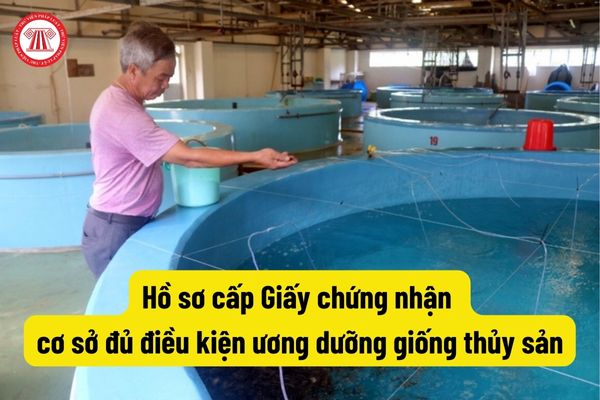 Hồ sơ cấp Giấy chứng nhận cơ sở đủ điều kiện ương dưỡng giống thủy sản