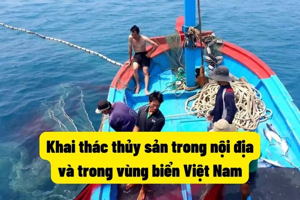 Khai thác thủy sản trong nội địa và trong vùng biển Việt Nam