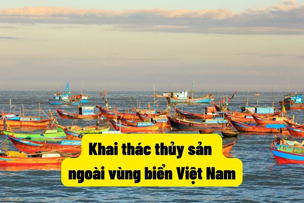 Khai thác thủy sản ngoài vùng biển Việt Nam
