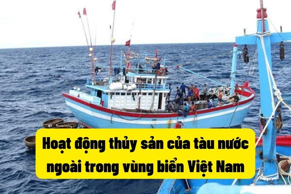 Hoạt động thủy sản của tàu nước ngoài trong vùng biển Việt Nam