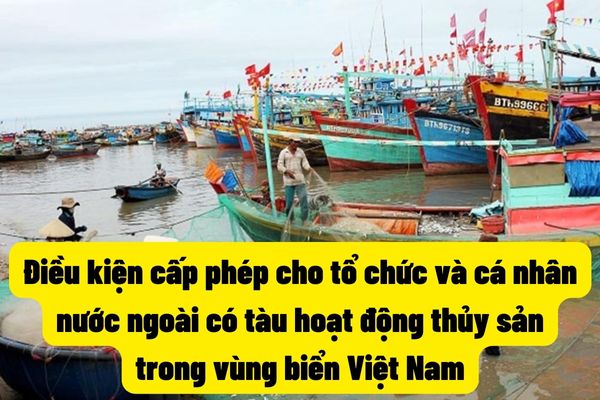 Điều kiện cấp phép cho tổ chức và cá nhân nước ngoài có tàu hoạt động thủy sản trong vùng biển Việt Nam