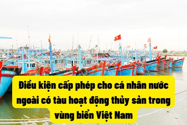 Điều kiện cấp phép cho cá nhân nước ngoài có tàu hoạt động thủy sản trong vùng biển Việt Nam