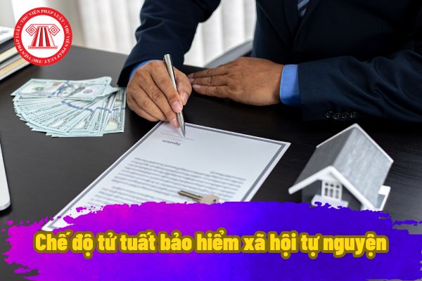 Trợ cấp mai táng bảo hiểm xã hội tự nguyện