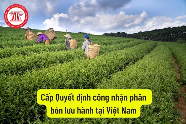 Cấp Quyết định công nhận phân bón lưu hành tại Việt Nam