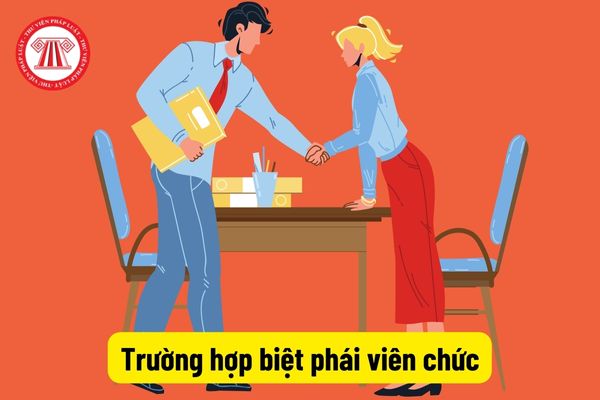 Trường hợp biệt phái viên chức