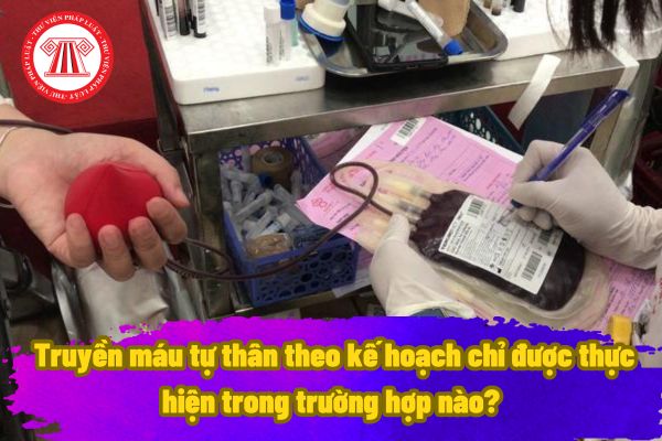 Truyền máu tự thân được hiểu như thế nào? Truyền máu tự thân theo kế hoạch chỉ được thực hiện trong trường hợp nào?