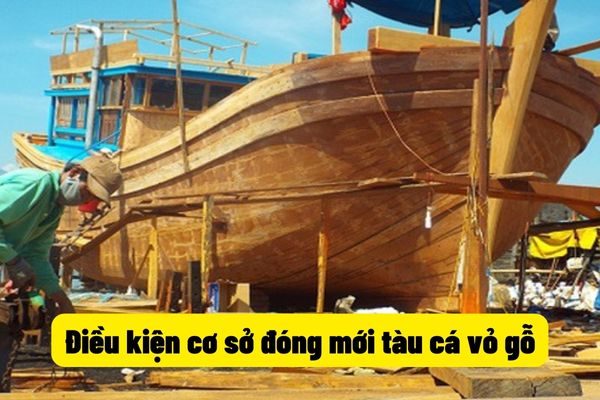 Điều kiện cơ sở đóng mới tàu cá vỏ gỗ