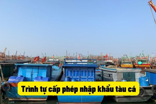 Trình tự cấp phép nhập khẩu tàu cá
