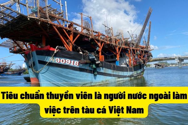 Tiêu chuẩn thuyền viên là người nước ngoài làm việc trên tàu cá Việt Nam