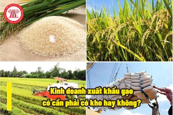 Muốn kinh doanh xuất khẩu gạo có cần phải có kho hay không? Thương nhân kinh doanh xuất khẩu gạo có phải thực hiện dự trữ lưu thông hay không?